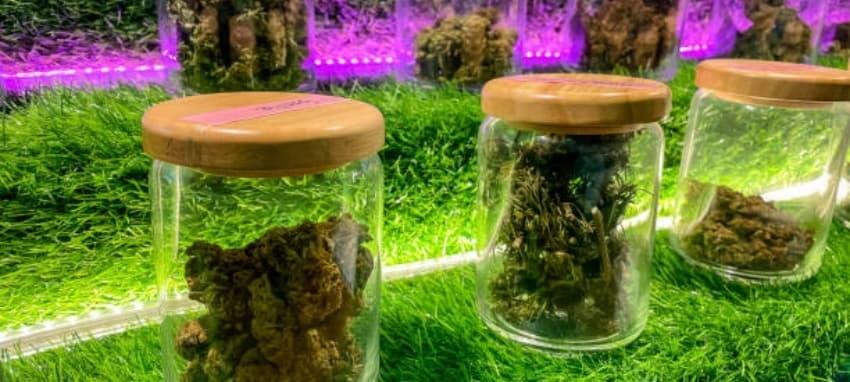 Průvodce výběrem baterie usb a bezpečným usb nabíjením pro elektronicka cigareta